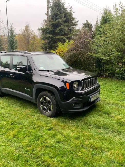 Jeep Renegade  Image 2